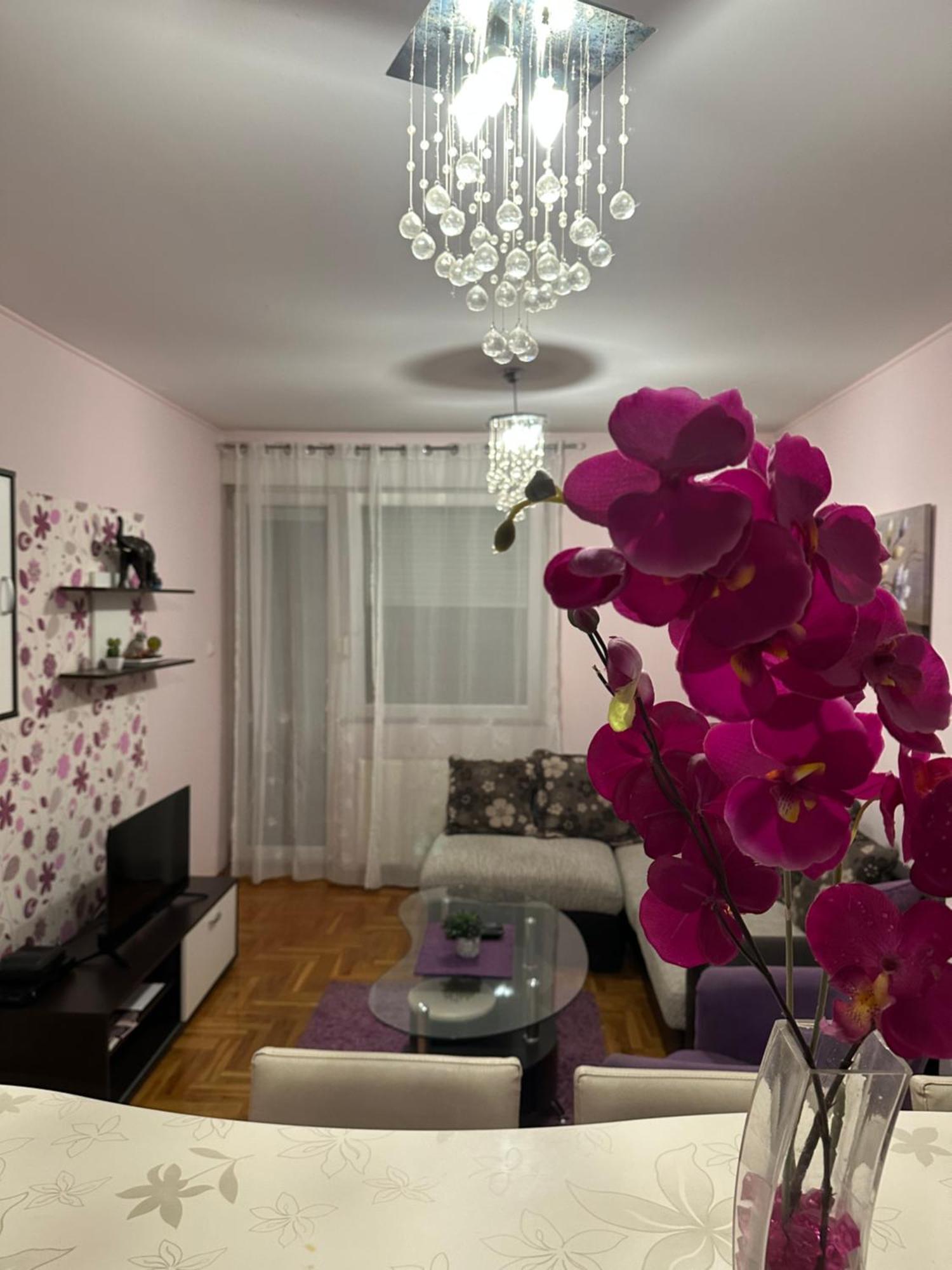 Apartman Ivana Novi Sad Exterior photo